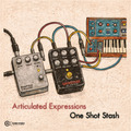 Articulated Expressions One Shot Stash